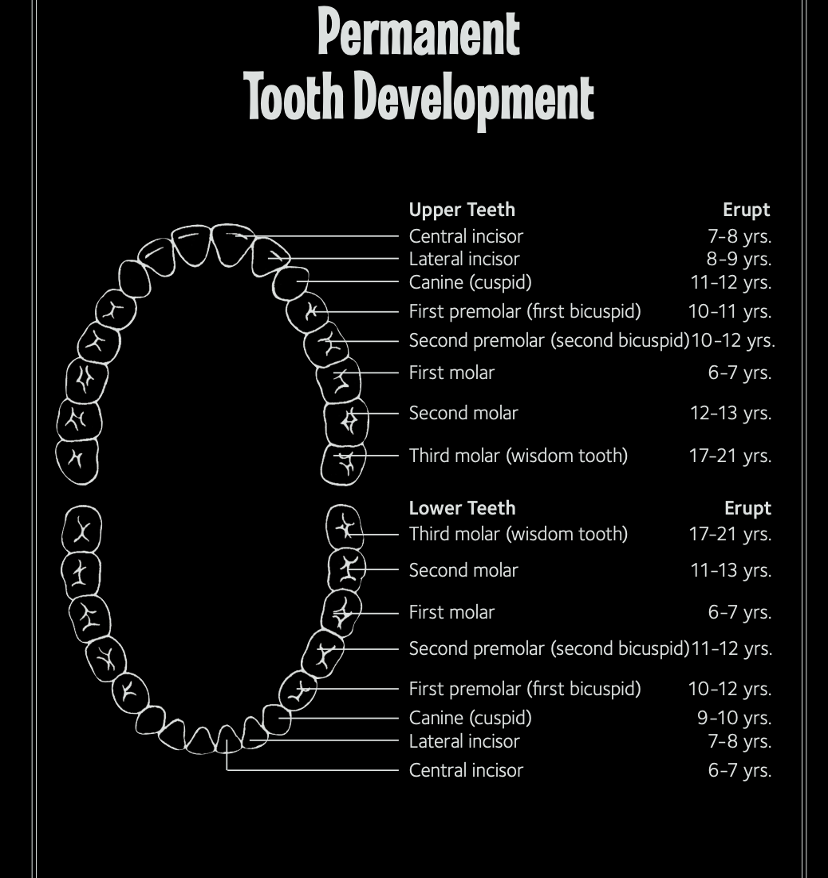 Oralhealth.info logo
